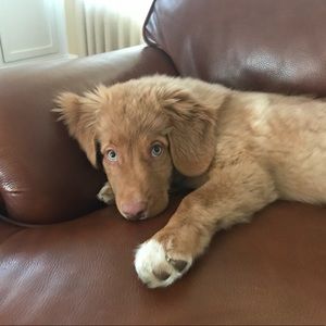 Meet your Posher, Cathy